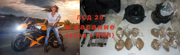 сатива Абаза