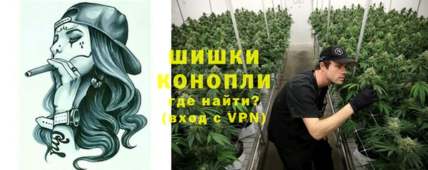 сатива Абаза